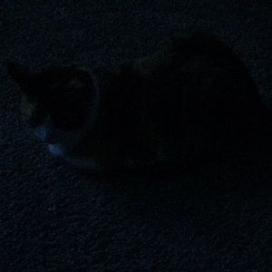 Meet your Posher, Kristine